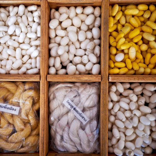 Silk and Its Use